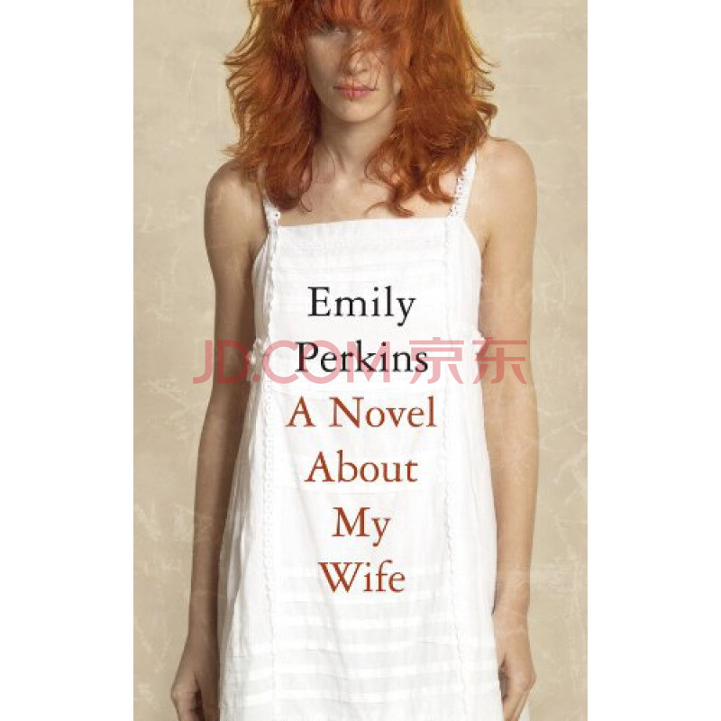 预订英文原版 novel about my wife 关于我妻子的小