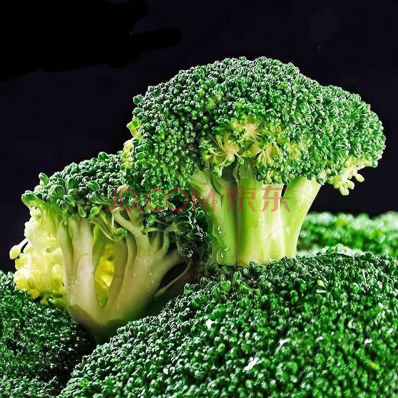 【新鲜现摘】西兰花菜新鲜现摘西蓝花白花菜花椰菜蔬菜2/4斤 西兰花 2