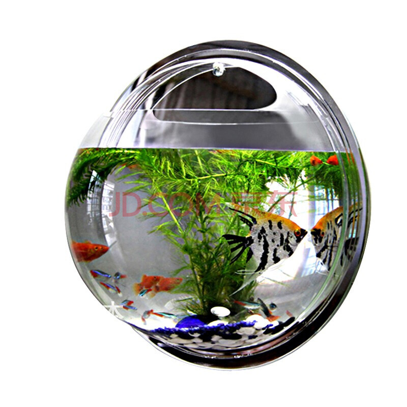 创意墙面装饰 客厅餐厅卧室墙壁墙上装饰品壁挂花盆 壁挂鱼缸水培 29