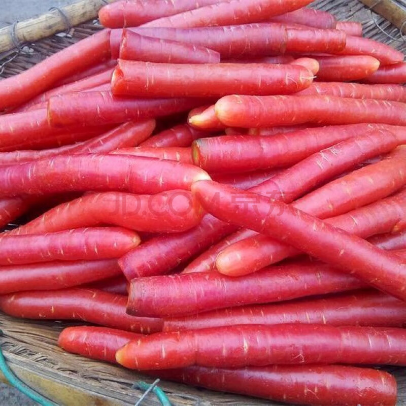 四川红萝卜新鲜 沙地水果胡萝卜农家蔬菜红心脆甜沙窝 甜萝卜 5斤