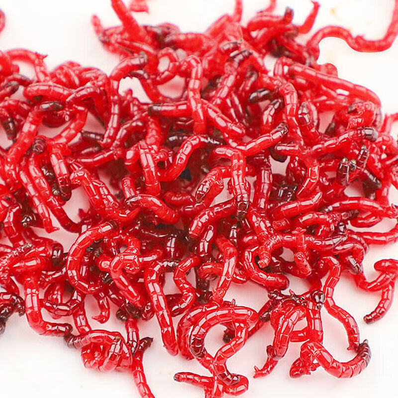 红虫鱼食活饵公虫活体垂钓打窝饵料鲫鱼鱼饵鲜活特大号批发 30克 小号