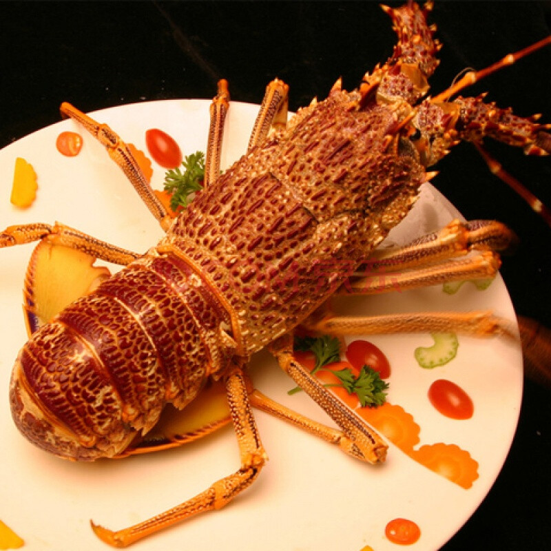 【每满49减10】澳洲大龙虾1500-3000g/只 澳洲花龙虾 生冻澳龙 3.5-3.