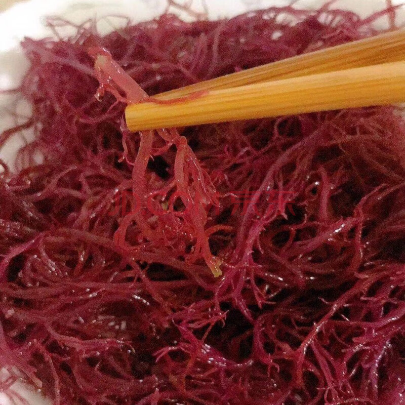 福建龙须菜500克凉拌菜 海藻类 2斤紫晶藻