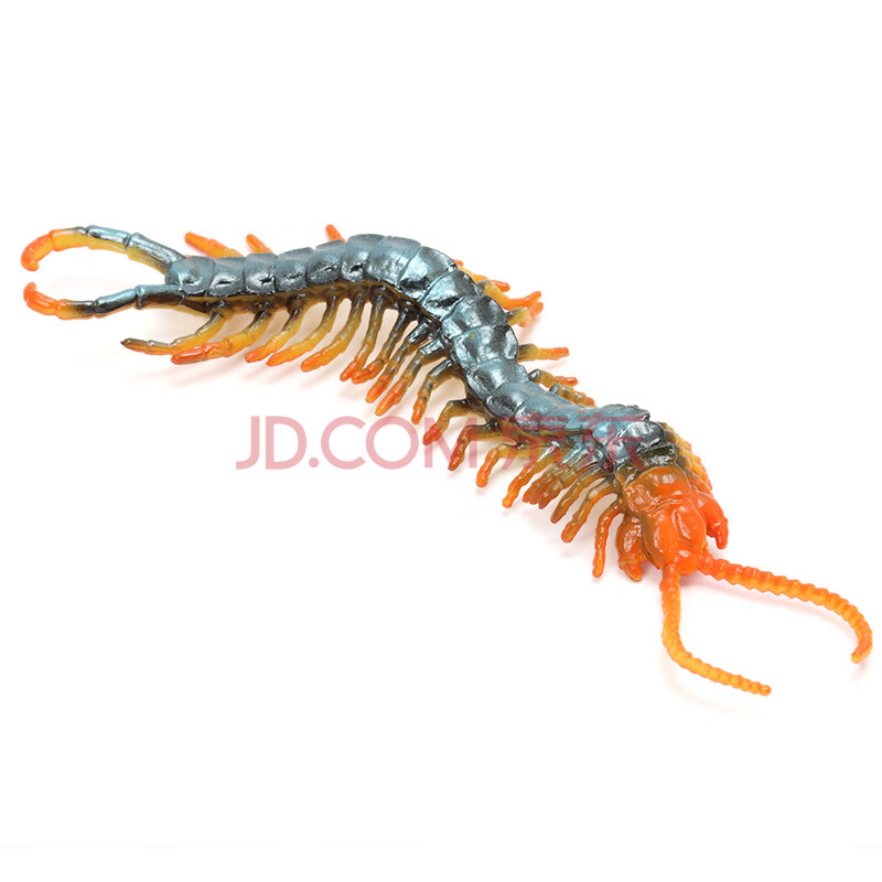 儿童动物玩具蝴蝶蜜蜂蜘蛛蚱蜢螳螂七星瓢虫蜻蜓蟋蟀儿童礼物 蜈蚣