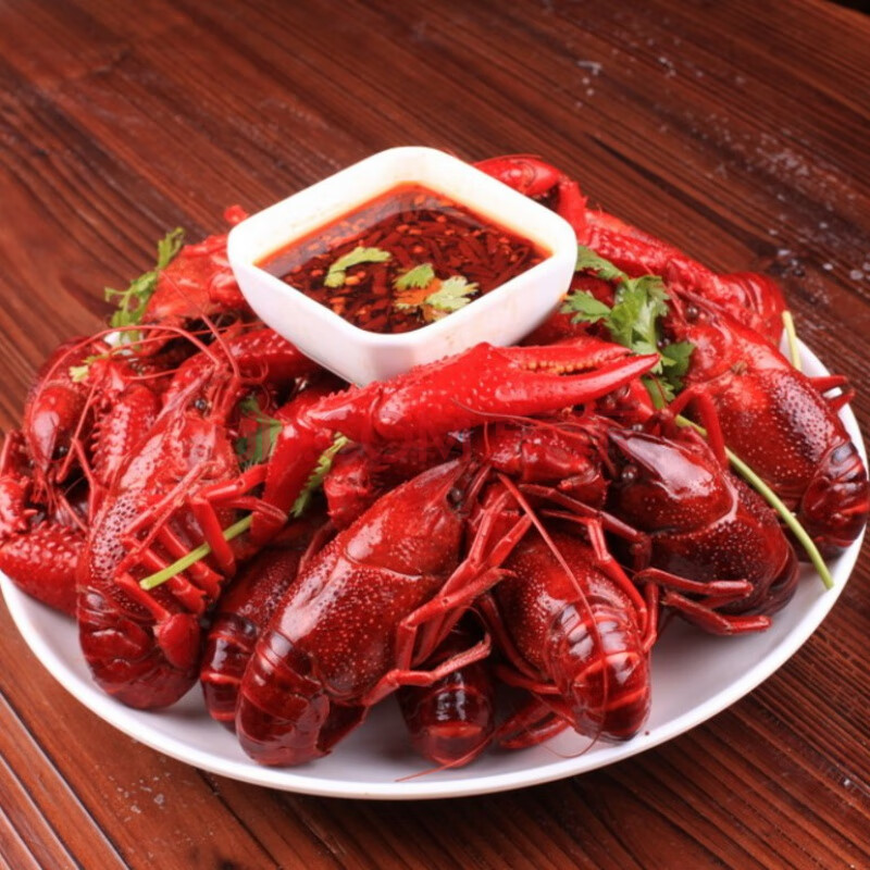 江苏清水小龙虾鲜活特大青虾新鲜红虾淡水活虾 8斤