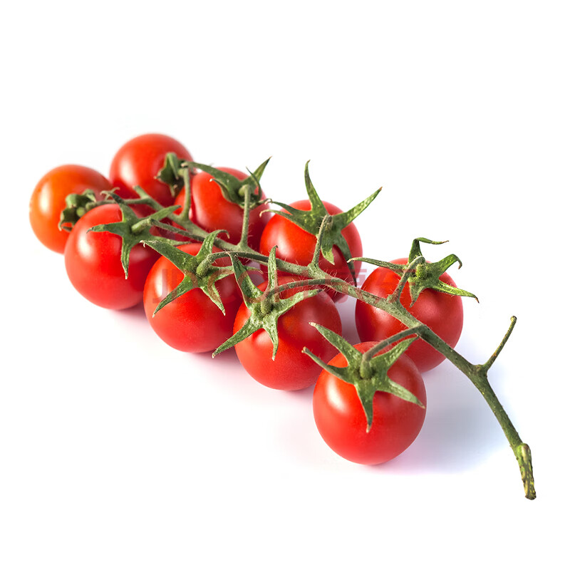 千禧串收小番茄 带枝串茄 新鲜圣女果西餐摆盘 红色小串茄1串180g 5串