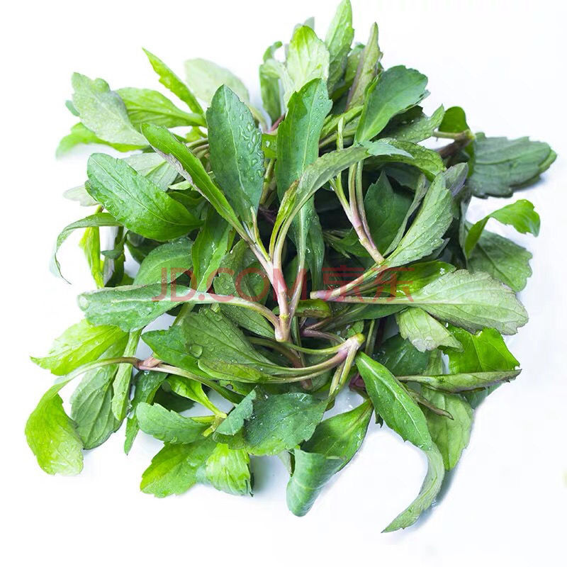 春季头茬马兰头红梗菜山坡野菜鸡儿肠春季野菜现割现发 3斤 马兰头