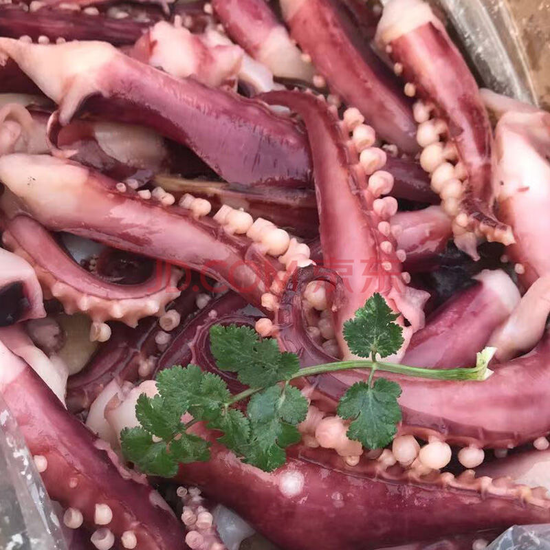 顺丰新鲜冷冻水产脆口小章鱼足章鱼须 新鲜无冰5斤装