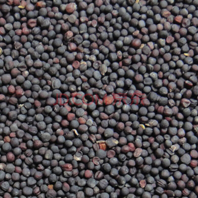 京东】虎皮牡丹玄风鹦鹉鸟食饲料鹦鹉鸟粮带壳黄谷小米黄雀食 油菜籽