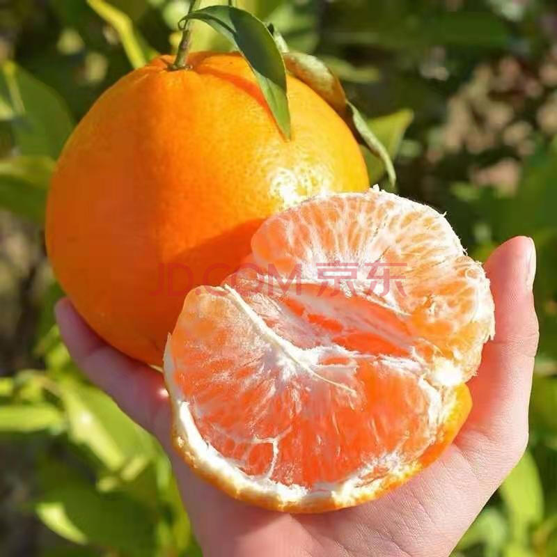 四川耙耙柑春见新鲜水果10斤当季爆甜橘子丑桔子粑粑柑整箱 5斤耙耙柑