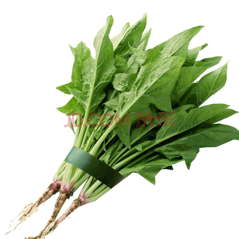 小尖叶土菠菜种籽小叶菠菜种子耐寒春秋四季阳台盆栽家庭种植蔬菜 小