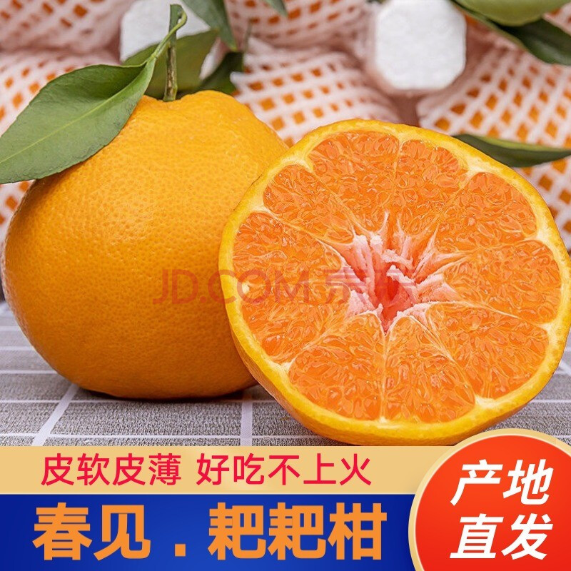 春见和丑不知火有什么不同(春见耙耙柑和不知火丑橘的区别)