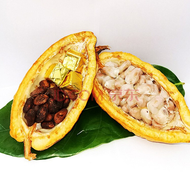 空运新鲜可可果海南原产热带可可鲜果原豆果实巧克力果原料装饰