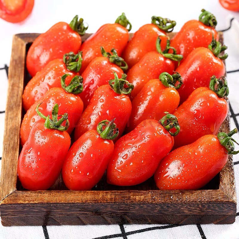 丹东409小番茄(顺丰速运)正宗东北碱地花生草莓小柿子 新鲜水果应季