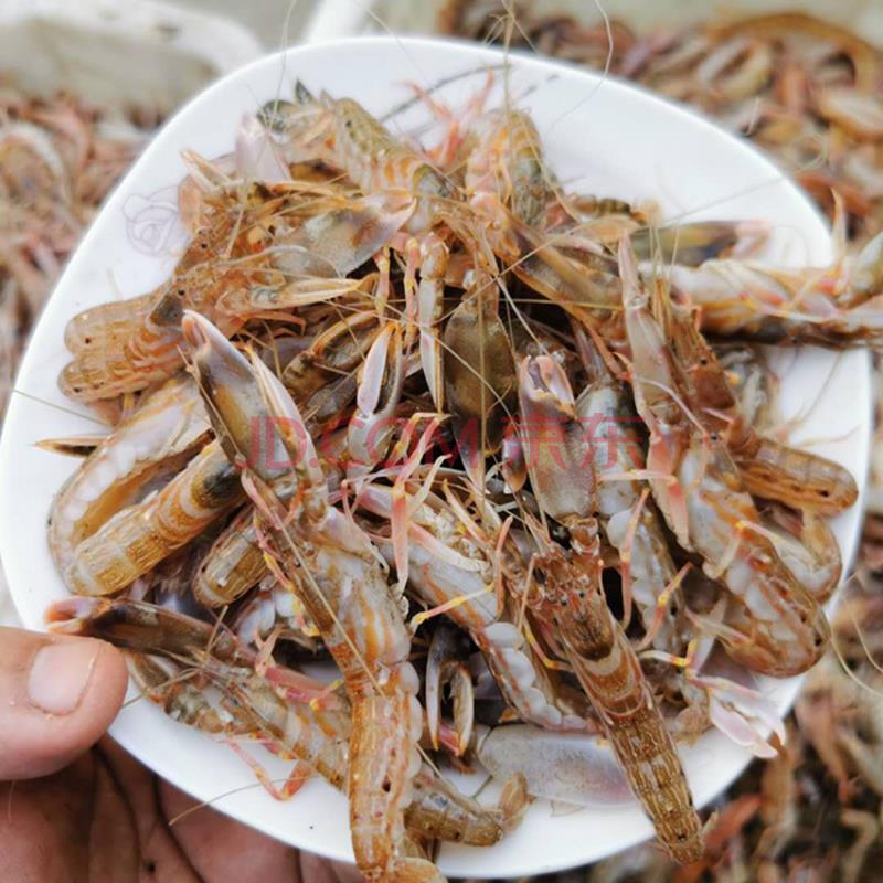 老扣【 顺丰】净4斤新鲜花腰嘎巴虾狗虾夹板虾花豹虾真正海虾 四斤花