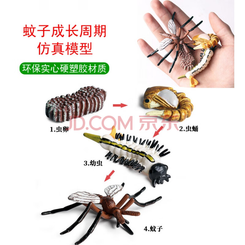 蚂蚱蟋蟀知了蜻蜓天牛蝴蝶七星瓢虫蜜蜂摆件 蚊子成长周期套装(4个)
