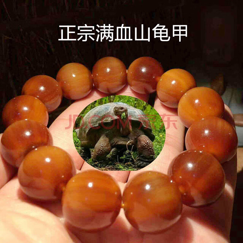 时乾 正宗金甲山龟壳手串 酒红色手链男款甲招财养身文玩 珠子尺寸