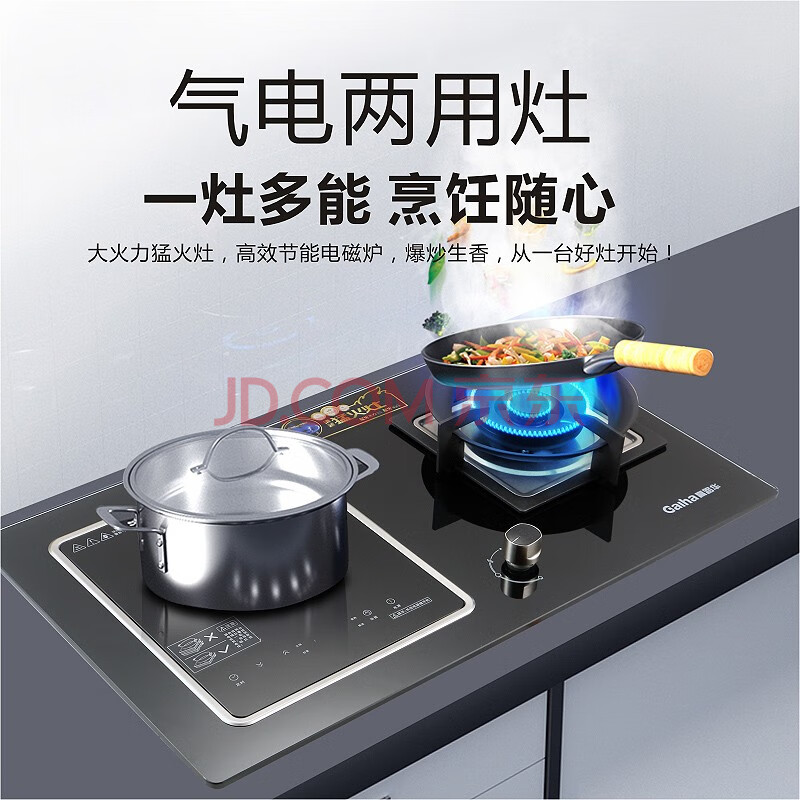 高路华(galha)719g燃气灶 双灶煤气灶 家用天然气液化气 电气两用灶