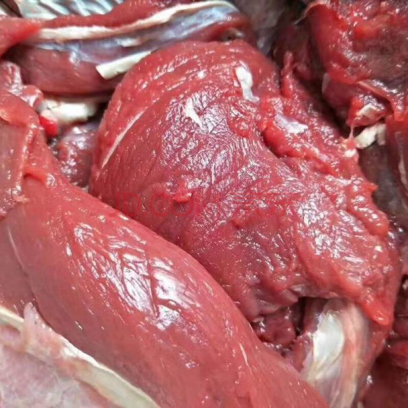 长白山梅花鹿新鲜鹿肉2斤5斤东北鹿肉鹿排鹿腿鹿茸鹿血鹿心鹿肝 十斤