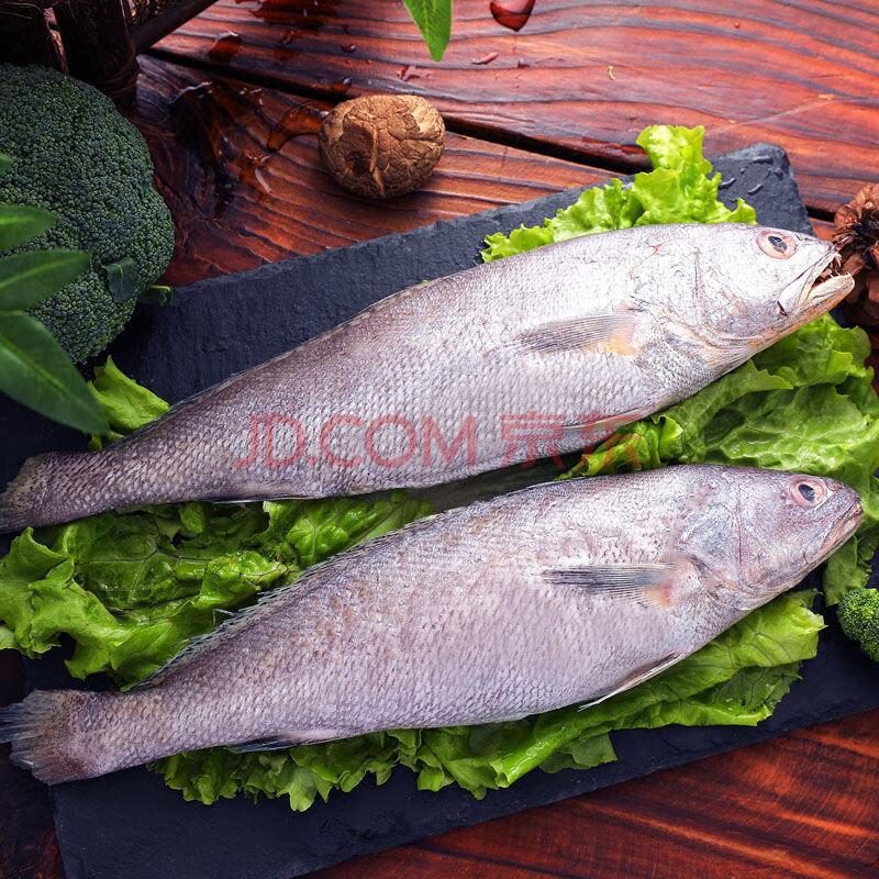 顺丰直达 新鲜深海米鱼冷冻鳘鱼大敏鱼冰冻鮸鱼海捕水产新鲜鲜活 5斤