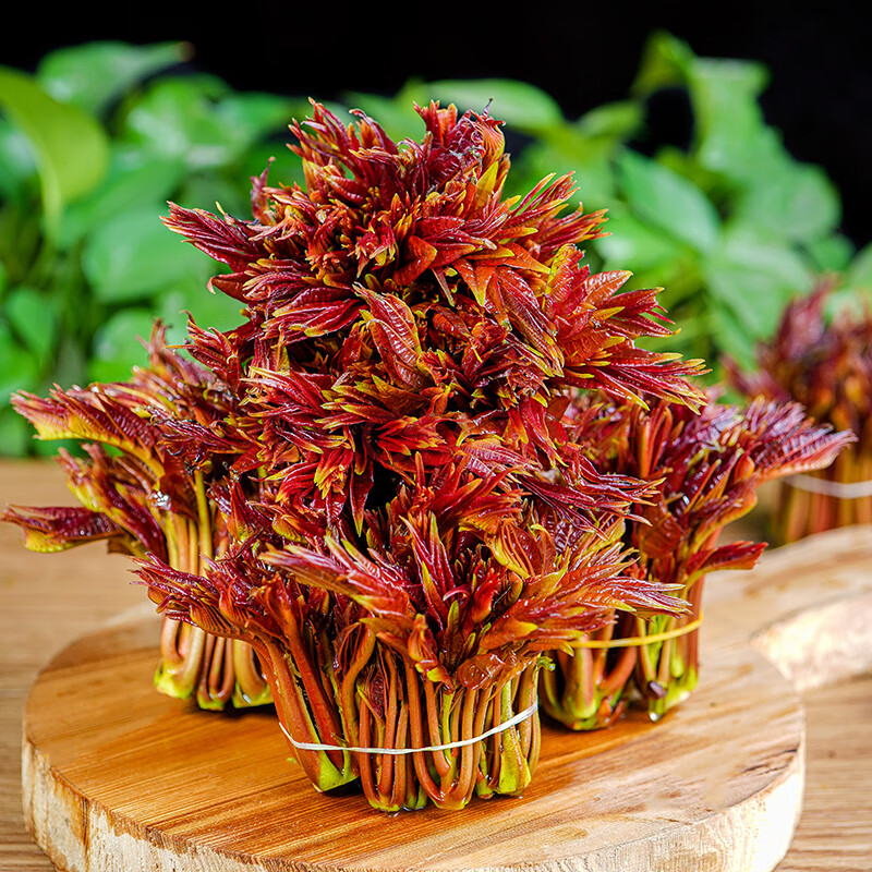 红香椿芽新鲜2斤头茬红油香椿叶野生春芽菜新鲜蔬菜青菜 2斤
