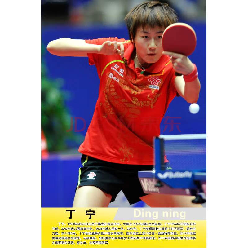 乒乓球运动员球室海报体育明星张继科刘诗雯孙颖莎墙贴纸贴画挂画