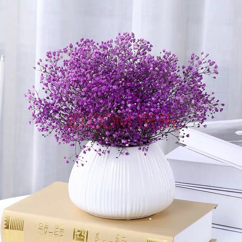 (linkinjoy花享)满天星干花永生花基地直发 紫色250个g