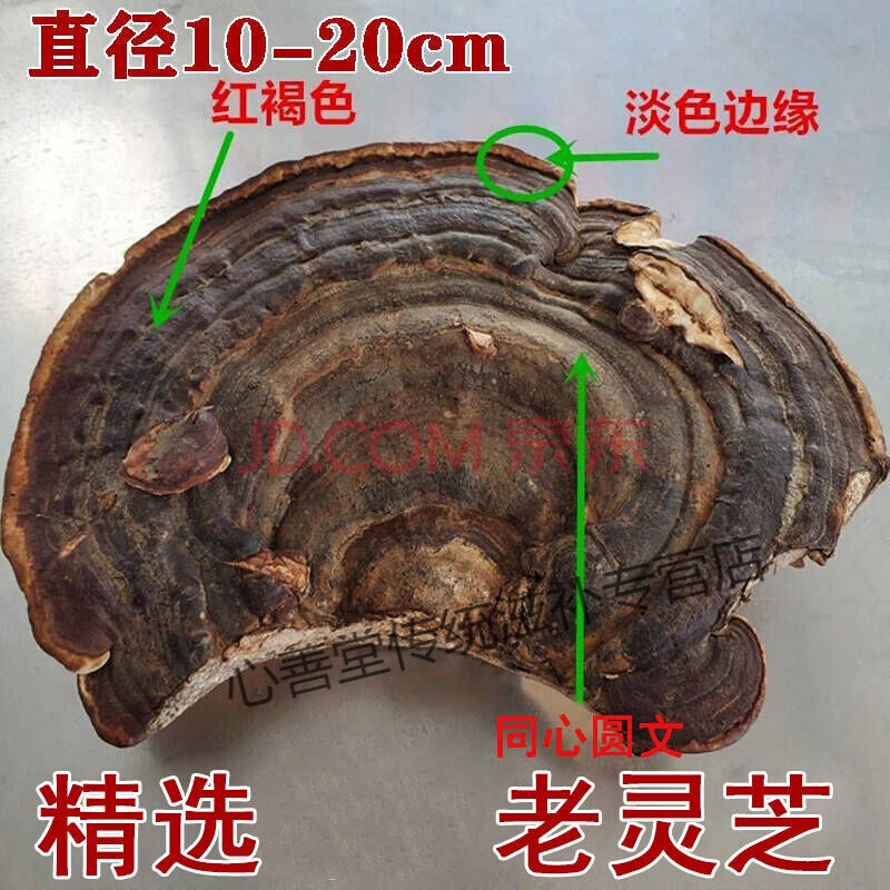灵芝天然深山正宗赤灵芝无柄赤芝灵芝切片灵芝泡酒料 10厘米以上直径