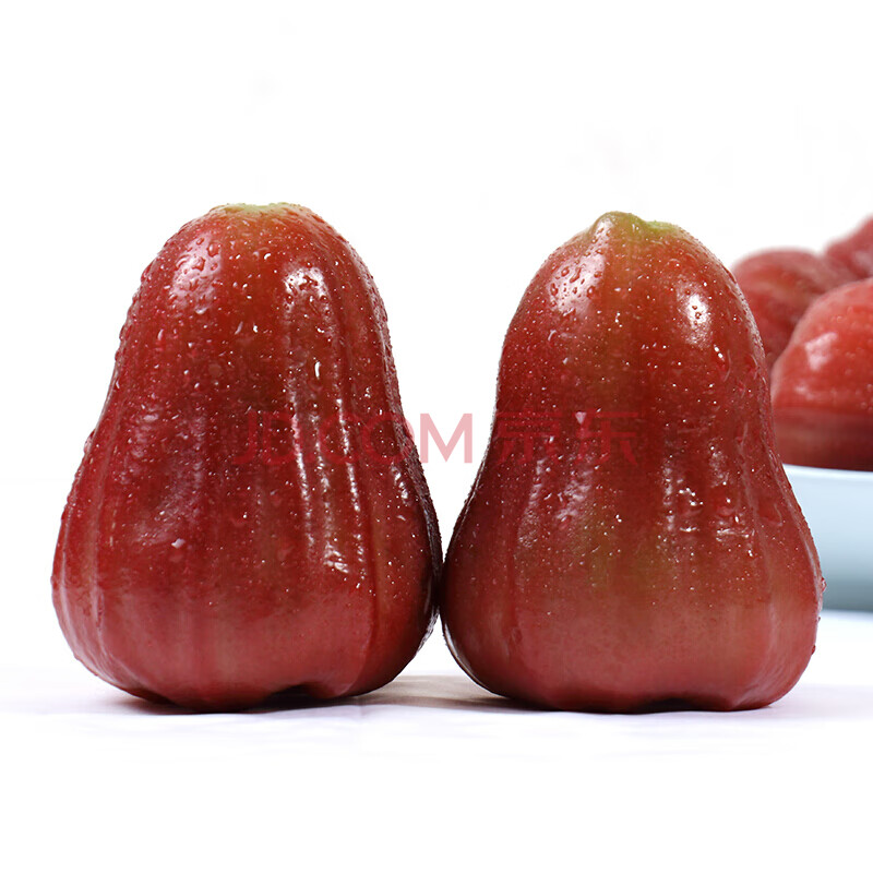 莲雾 当季新鲜热带水果雾莲果连雾海南特产