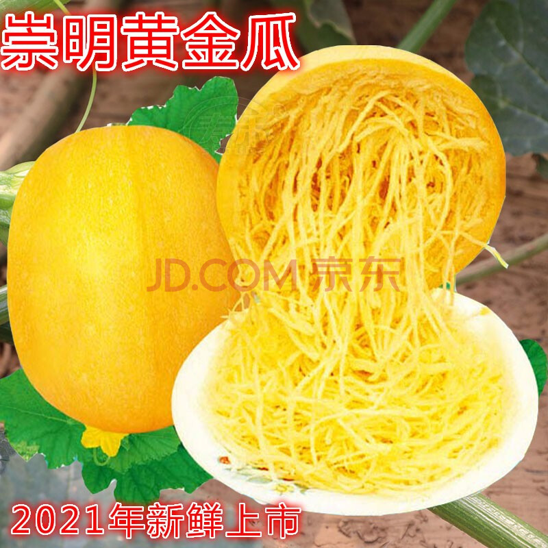 崇明金丝瓜搅瓜面条瓜黄金瓜包瓜丝瓜2-25斤装 3斤