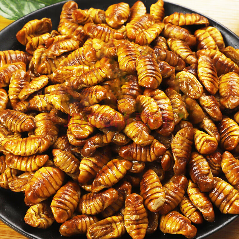 棠鲜生 蚕蛹山东农家新鲜干净桑蚕蛹生蚕蛹黄金蚕蛹湿蚕蛹蝉蛹 3斤装