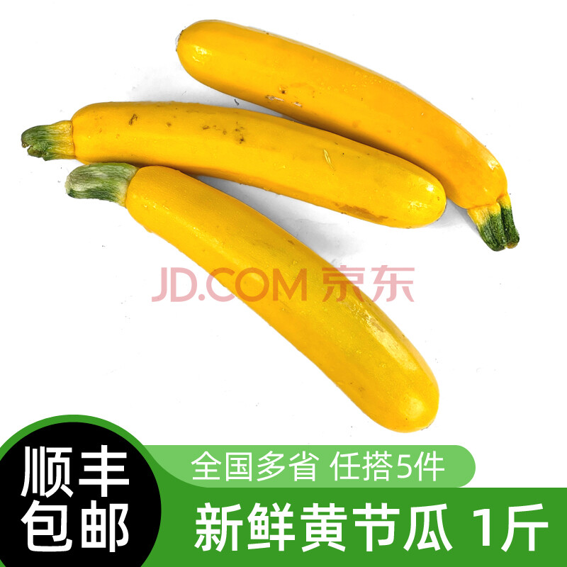 新鲜黄节瓜500g 黄西葫芦茄瓜毛瓜热炒凉拌蔬菜