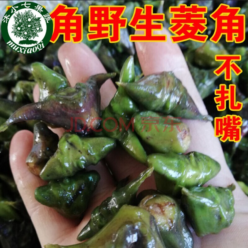 現摘野生菱角 老菱角洪湖湖區小菱角煮熟粉糯香湖北特產 1000g