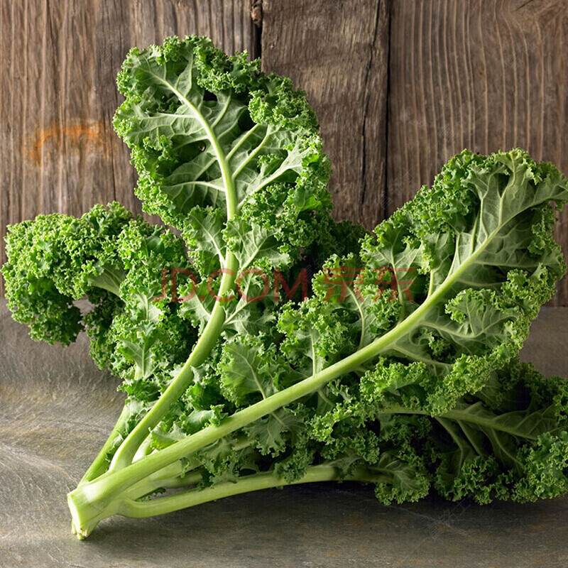 新鲜羽衣甘蓝 嫩叶芥蓝甘兰叶牡丹kale西餐榨汁沙拉蔬菜食材 1500g
