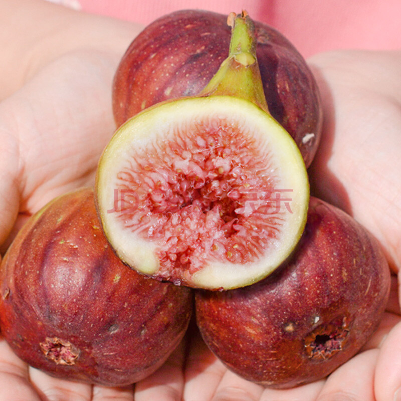 欧因 顺丰红皮无花果5斤新鲜水果现摘大果应季整箱时令鲜果 5斤大果