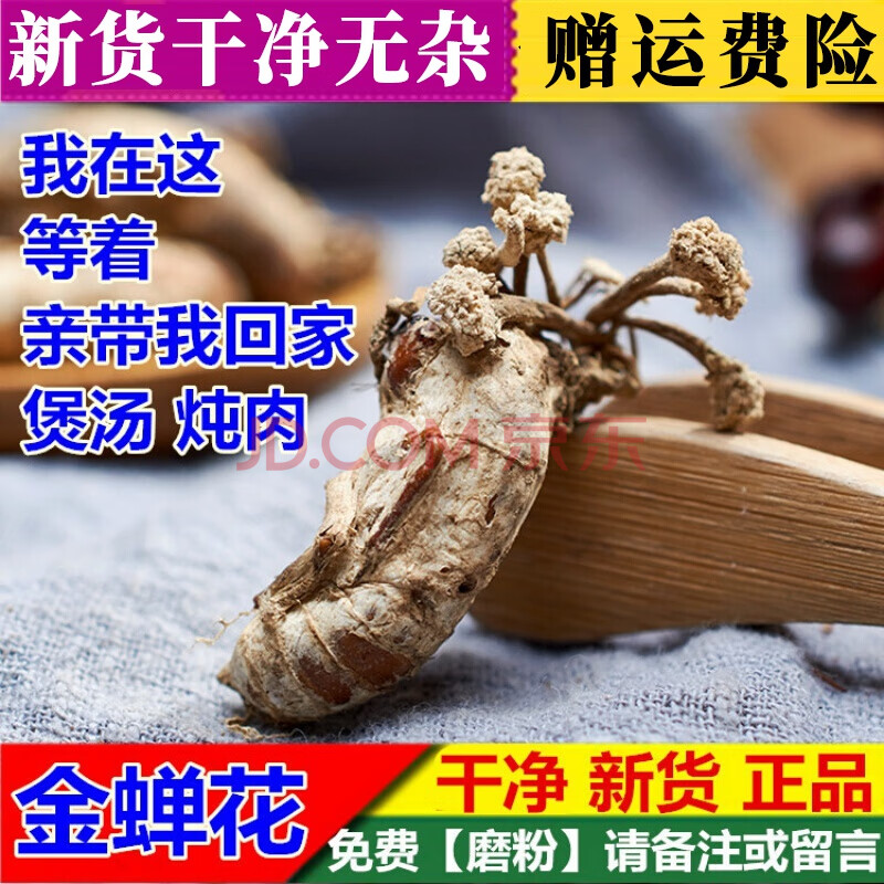 康中尊 精选金蝉花新货蝉花正宗100克虫草花蝉菌蝉蛹草蛹茸