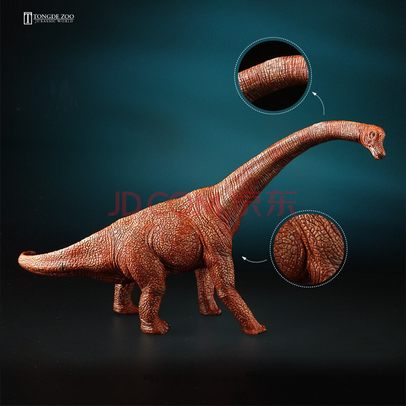 【童德腕龙】童德 大号儿童恐龙模型侏罗纪仿真动物玩具男孩早教认知