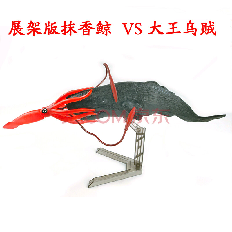 鱿章鱼鱿鱼八爪鱼模型巨型枪酸浆海洋玩具蓝鲸 展架巨乌贼战抹香鲸