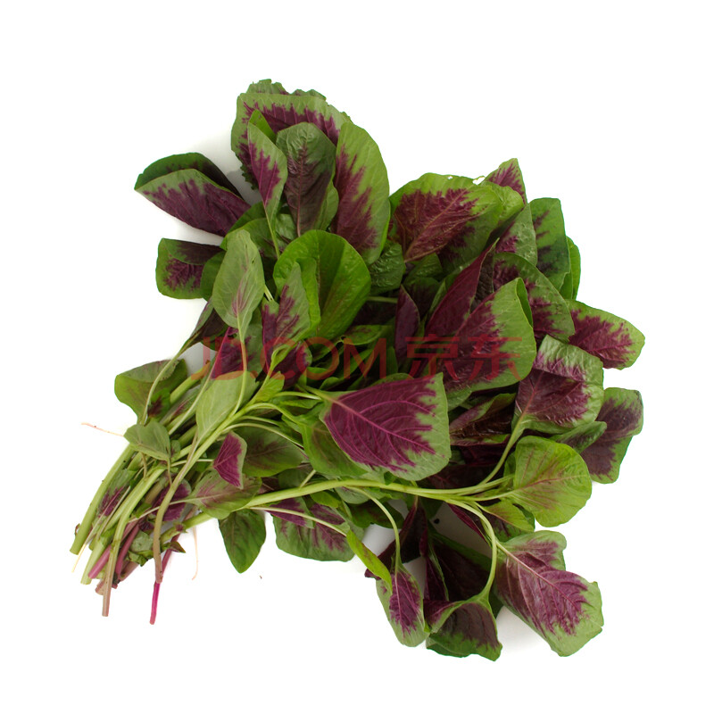 苋菜新鲜红苋菜红米苋农家野菜鲜嫩时令蔬菜 2斤 【红苋菜】