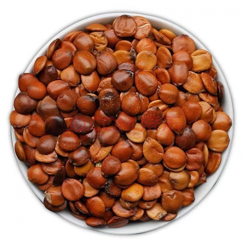 酸枣仁 炒酸枣仁 熟酸枣仁粉 新货酸枣仁助眠 养康奇堂 100克