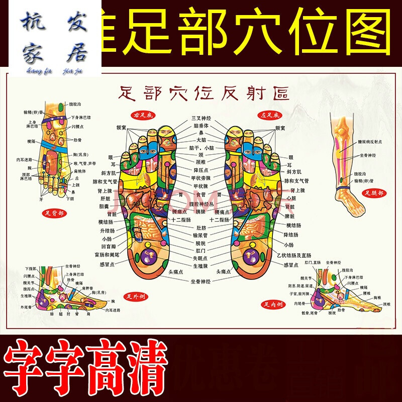 新品】足底按摩穴位圖足部反射區大掛圖人體穴位圖足部經絡穴位圖掛圖