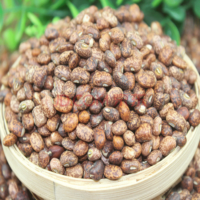 麻豇豆 农家新小麻豆 江豆 梨花豇豆 姜豆 饭豆 杂粮 1斤5斤 3斤 花