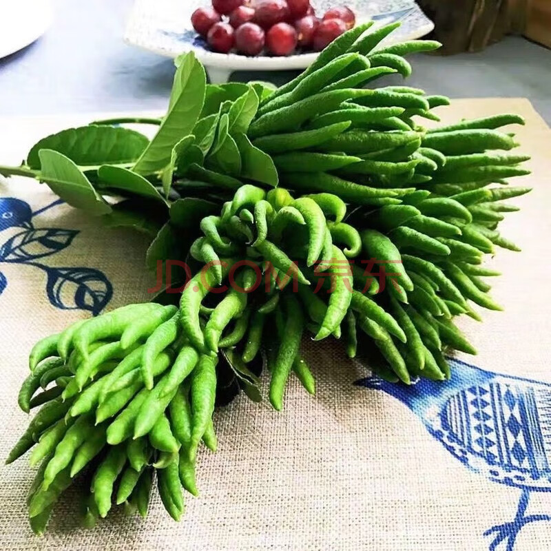 【现摘现发】新鲜佛手果 摆放佛手 食用佛手柑 自然清香 中果/3斤(6~9