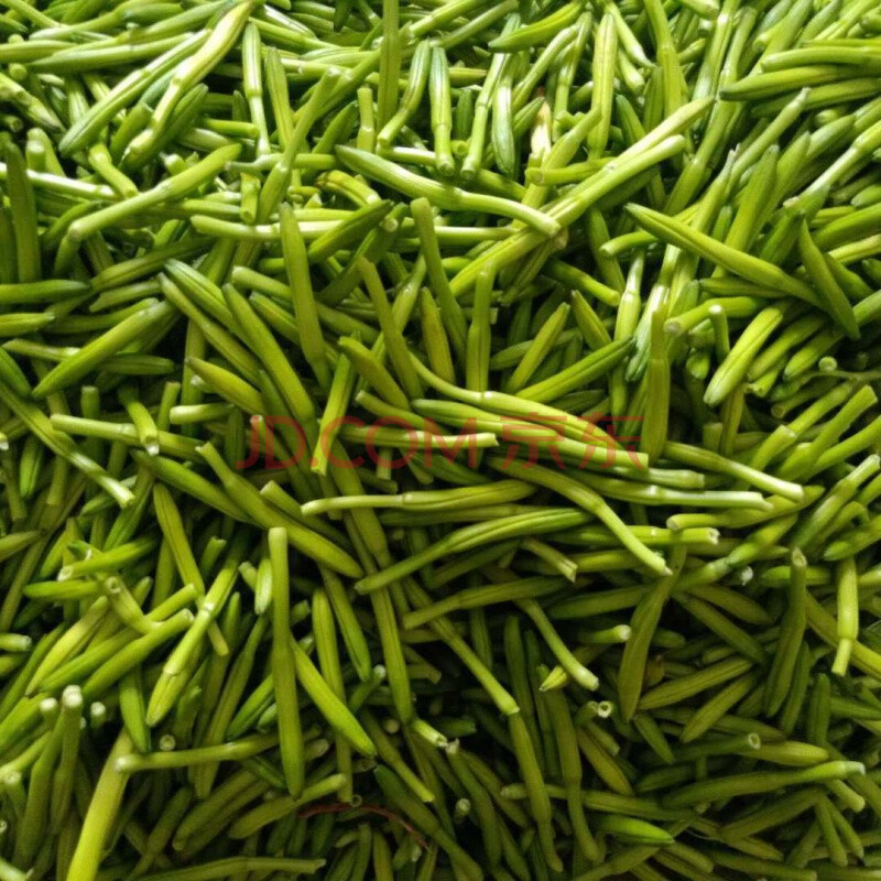 黄花菜新鲜金针菜现摘现发孕妇菜凉拌菜时令蔬菜萱菜酒店食材 五斤装