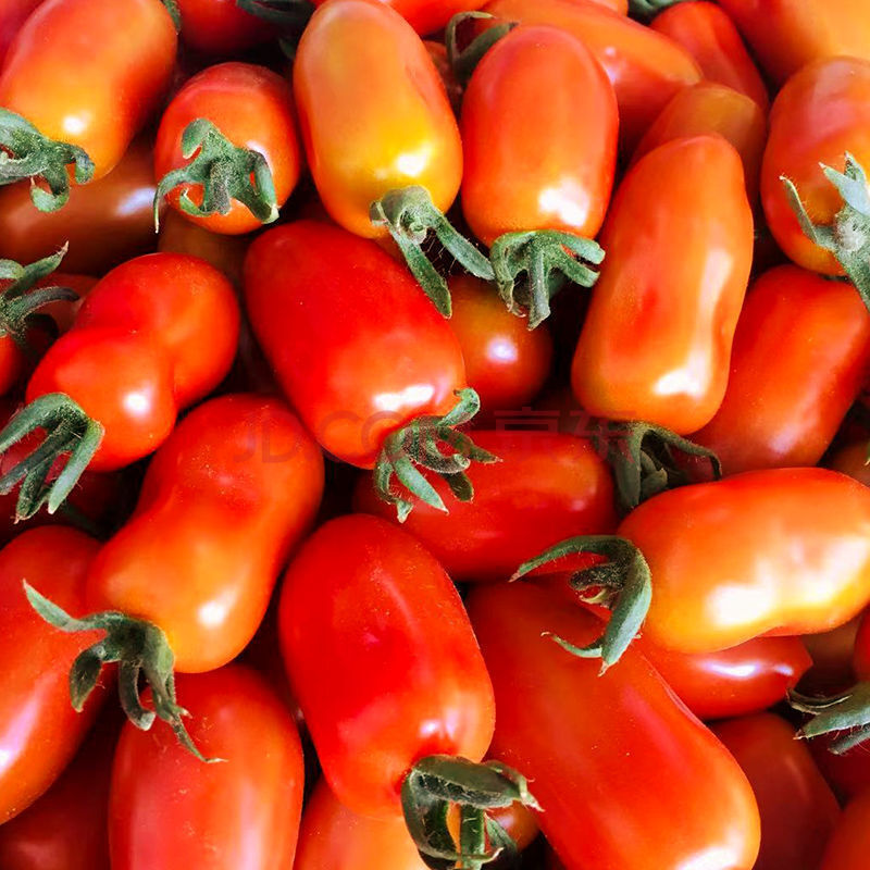 新鲜红黄花生柿子409小柿子圣女果牛奶草莓菇娘小番茄孕妇水果 2500g