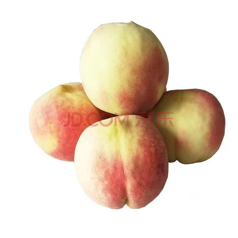 四川桃子毛桃新鲜桃子应季多规格整箱 1斤试吃装