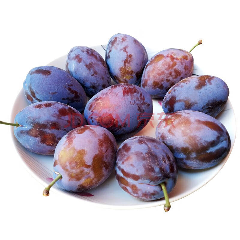 四川汶川西梅 孕妇新鲜水果李子 儿童辅食 红色 5斤精选装