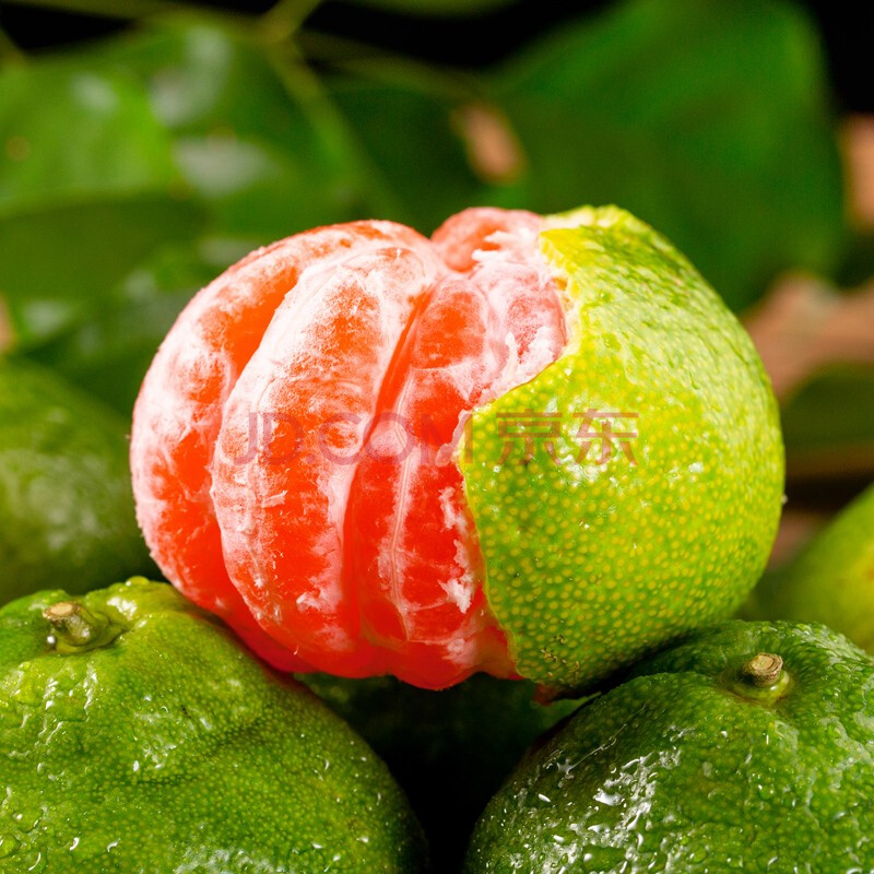 【宜昌蜜橘】青皮蜜桔子酸甜水果 应季现摘新鲜整箱5斤3斤9斤 可选大