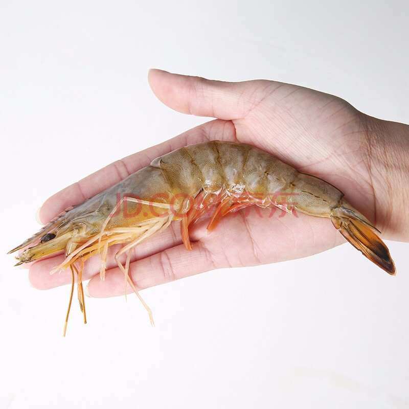 味库 国产大虾渤海湾大对虾 巨型虾 净重360g*3盒 10-14只 约15-18