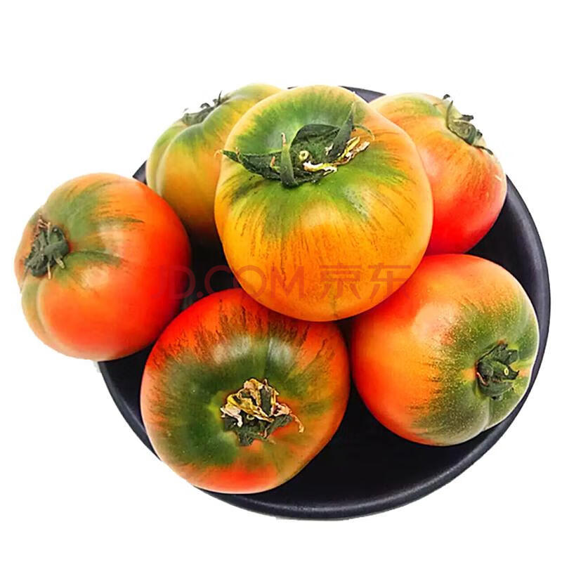 丹东铁皮柿新鲜水果碱地油柿番茄灯笼果西红柿绿腚柿 5斤